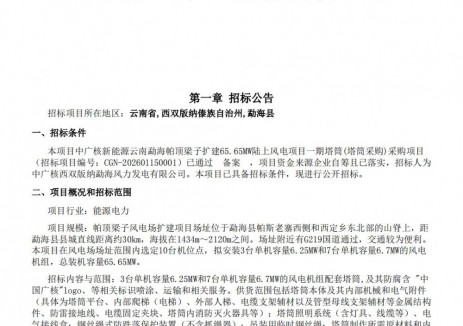 招标 | 中广核新能源云南勐海帕顶梁子扩建65.65MW陆上风电项目一期塔筒(塔筒采购)采购项目