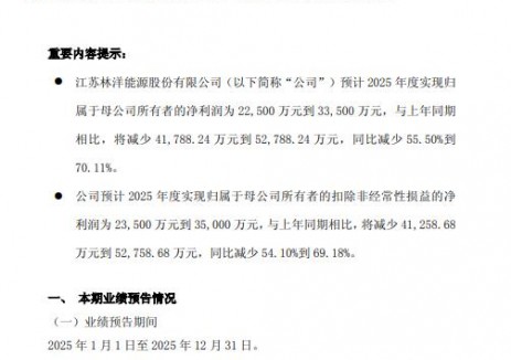林洋能源：2025年预计净利润2.025至3.35亿元