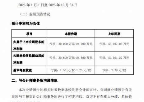 欧晶科技:2025年预计净利润亏损2.4-3亿元