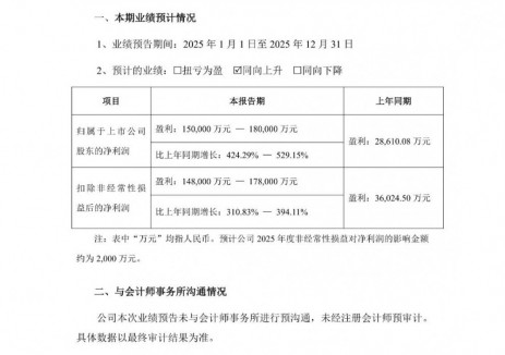 先导智能：2025年预计盈利15-18亿元，同比增长424.29%-529.15%