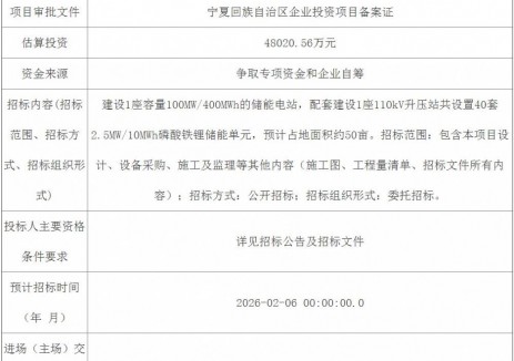 招标 | 宁夏石嘴山经开区河滨100MW/400MWh共享储能项目招标计划发布