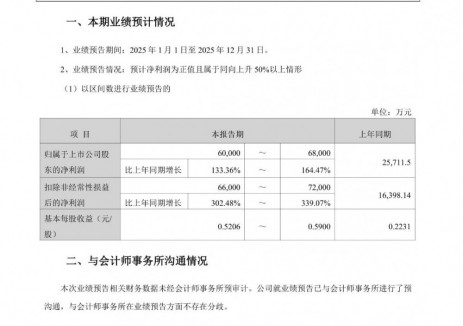 雅化集团预计2025年净利润同比增长133.36%~164.47%
