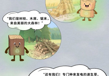 生物质掺烧 ,这可不是 “瞎掺和”!