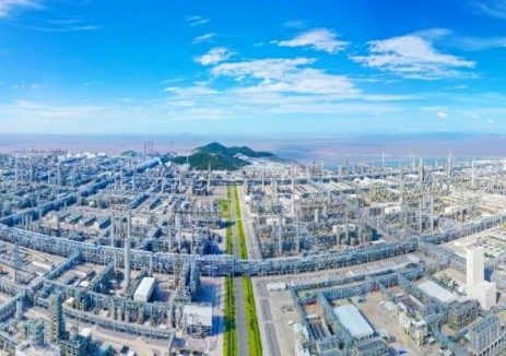 加拿大总理卡尼会见荣盛石化总经理项炯炯