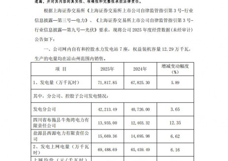 西昌电力：2025年光伏电站发电量4531.68万千瓦时