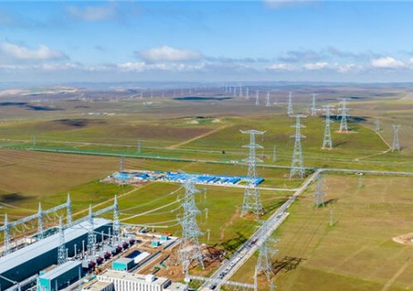 国家电网:学习贯彻“两会”精神,扛牢保供责任加快输电通道建设