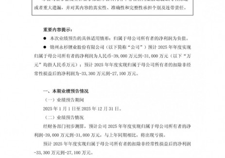 永杉锂业2025年净利预亏3.1亿—3.9亿元