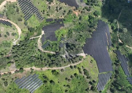 绿能集团南背帮20万千瓦光伏发电项目并网发电