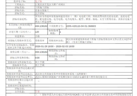 招标 | 湖北武汉节能环保装备园建设项目(一期)充电桩工程（二次）（第一标段）