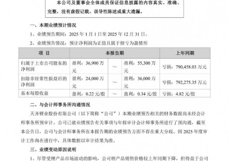 天齐锂业2025年将扭亏为盈，预计盈利3.69亿元—5.53亿元