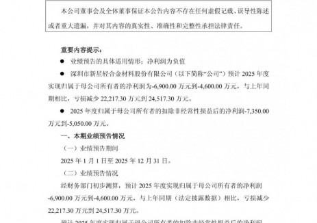 深圳新星2025年全年预计净亏损4600万元—6900万元