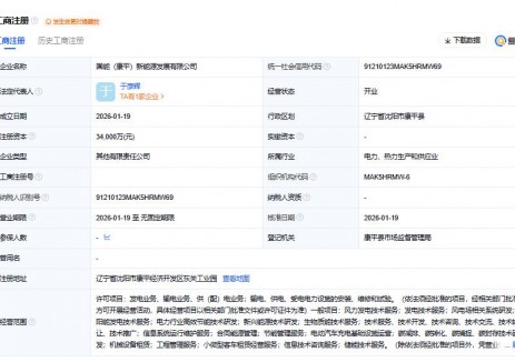 国家能源集团成立新能源公司