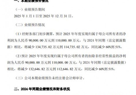 阿特斯:2025年预计净利润9-11亿元
