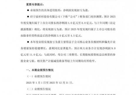 杉杉股份预计2025年度净利润4.0亿元至6.0亿元