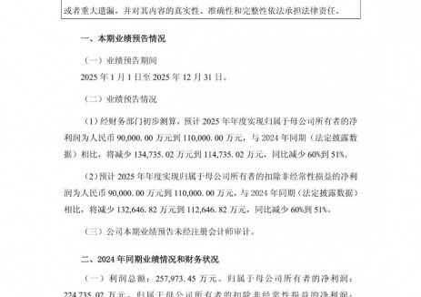 阿特斯预计2025年净利润同比减少60%到51%