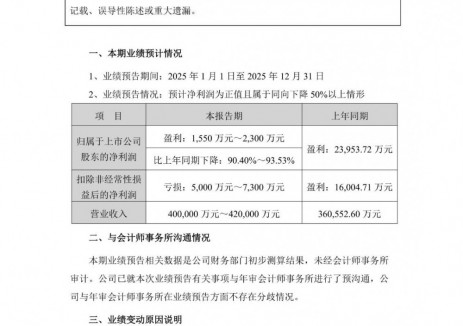 华宝新能预计2025年实现营收40亿元至42亿元
