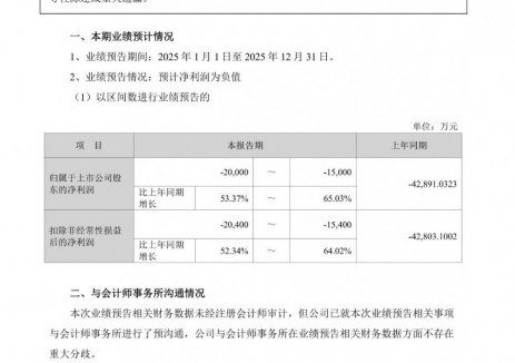 天力锂能预计2025年归母净利润亏损1.5亿元-2亿元