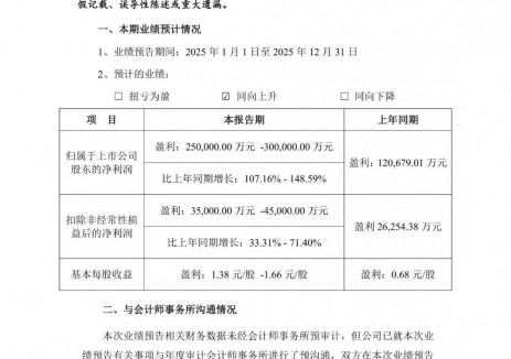 国轩高科预计2025年净利25亿元-30亿元，同比增长107.16%-148.59%