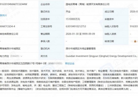 国家电投联合两省能源集团成立新公司