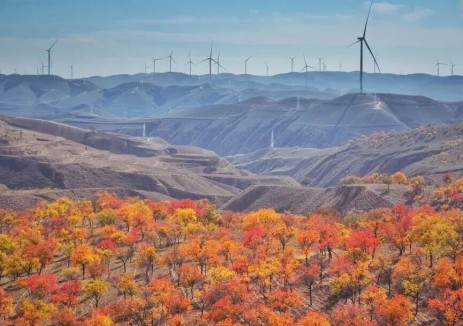 “绿”动“十五五”！见证电建铁军“风”之印记