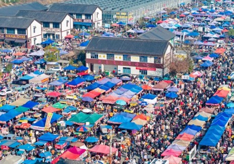 安徽滁州狗市烟火升腾，中氢新能Mini氢卡点亮绿色市集新图景