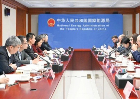 国家能源局负责人会见巴西国家石油公司总裁