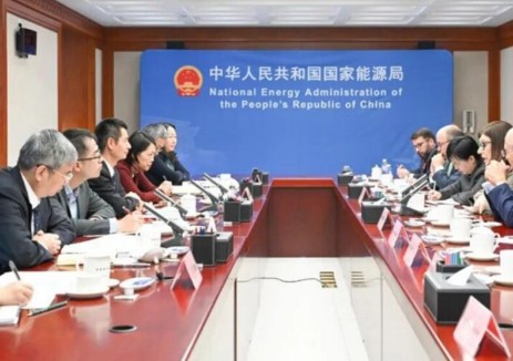 国家能源局负责人会见巴西国家石油公司总裁