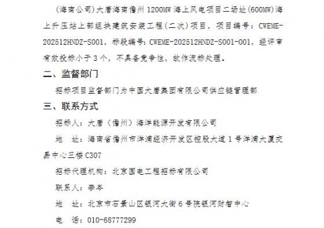 大唐海南儋州600MW海上风电项目流标