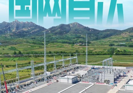 国网首次！国网山东电力首次开展500千伏变电站全站定值高可靠远方执行