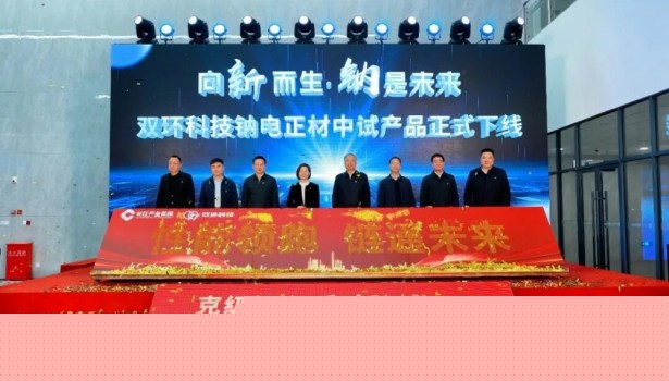 湖北首条！双环科技千吨级钠电复合正极材料中试产品下线