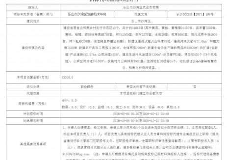 招标 | 78个充电桩！四川乐山市沙湾区宜居宜业和美乡村二期项目（第二次）招标代理机构比选公告