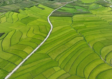 2026“三农”工作部署解读｜生物质能，藏着乡村振兴的新机遇