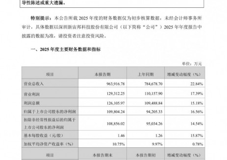 新宙邦2025年净利润同比增长16.56%