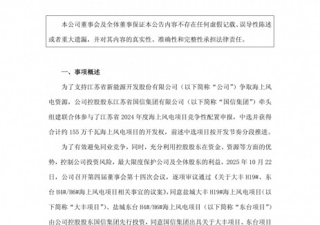 江苏东台H4#/H6#海上风电项目获核准