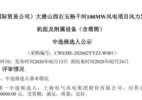 开工即冲刺！电气风电连中两标，赢丙午开门红