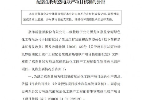 嘉泽新能生物质热电联产项目获核准