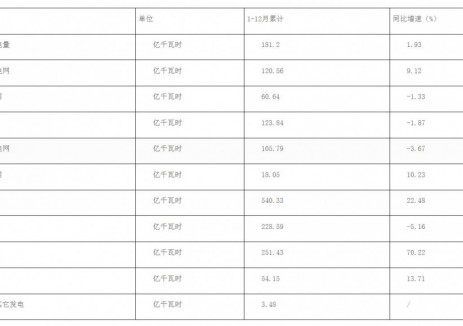 贵州省黔西南州2025年1-12月现代能源数据统计