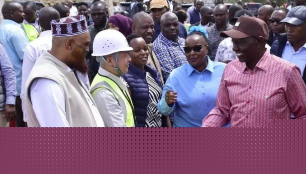 总统视察！肯尼亚内罗毕河流域生态修复项目