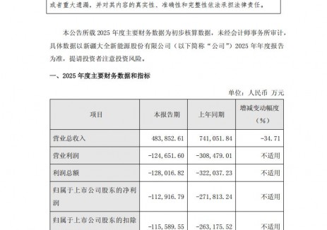 大全能源：2025年亏损11.29亿元