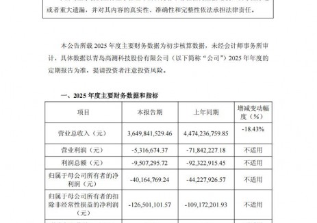 高测股份:2025年亏损4016.48万元
