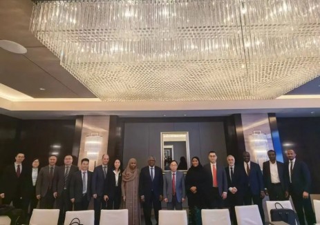 丹格特集团董事长阿里科·丹格特与厚普股份董事长王季文在京会面