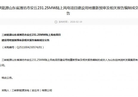 中标|三峡能源山东省潍坊市安丘231.25MW陆上风电项目建设用地重新预审及相关报告编制发布成交公告