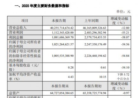 <em>阿特斯</em>：2025年歸屬凈利潤10.21億元