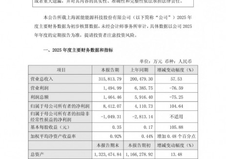 <em>派能科技</em>2025年凈利8412.07萬元，同比增長104.64%