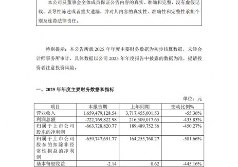 <em>海泰新能</em>：2025年虧損6.64億元