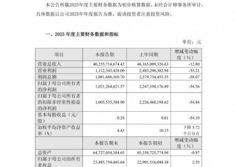 <em>阿特斯</em>2025年歸母凈利潤10.21億元，儲能項目儲備進(jìn)入收獲期