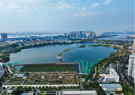 三峽集團湖南分公司：融合賦能啟新程 實干篤行開新局