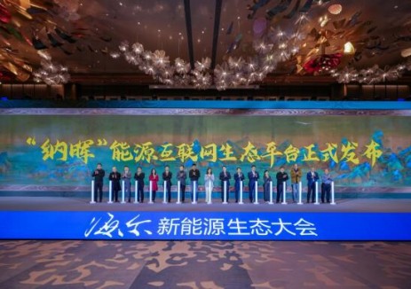 海爾新能源發(fā)布“納暉”能源互聯(lián)網(wǎng)生態(tài)平臺，打造定制化<em>能源服務(wù)</em>