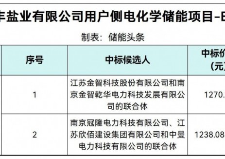 中標(biāo) | 0.9234~0.9474元/Wh！江蘇用戶側(cè)<em>電化學(xué)儲(chǔ)能</em>項(xiàng)目EPC中標(biāo)候選人公示