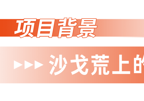 <em>中信博</em>跟蹤系統(tǒng)：護(hù)航競(jìng)價(jià)時(shí)代沙戈荒光伏全周期收益